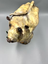 Image 5 of Poking the Bear- Sheri Bare