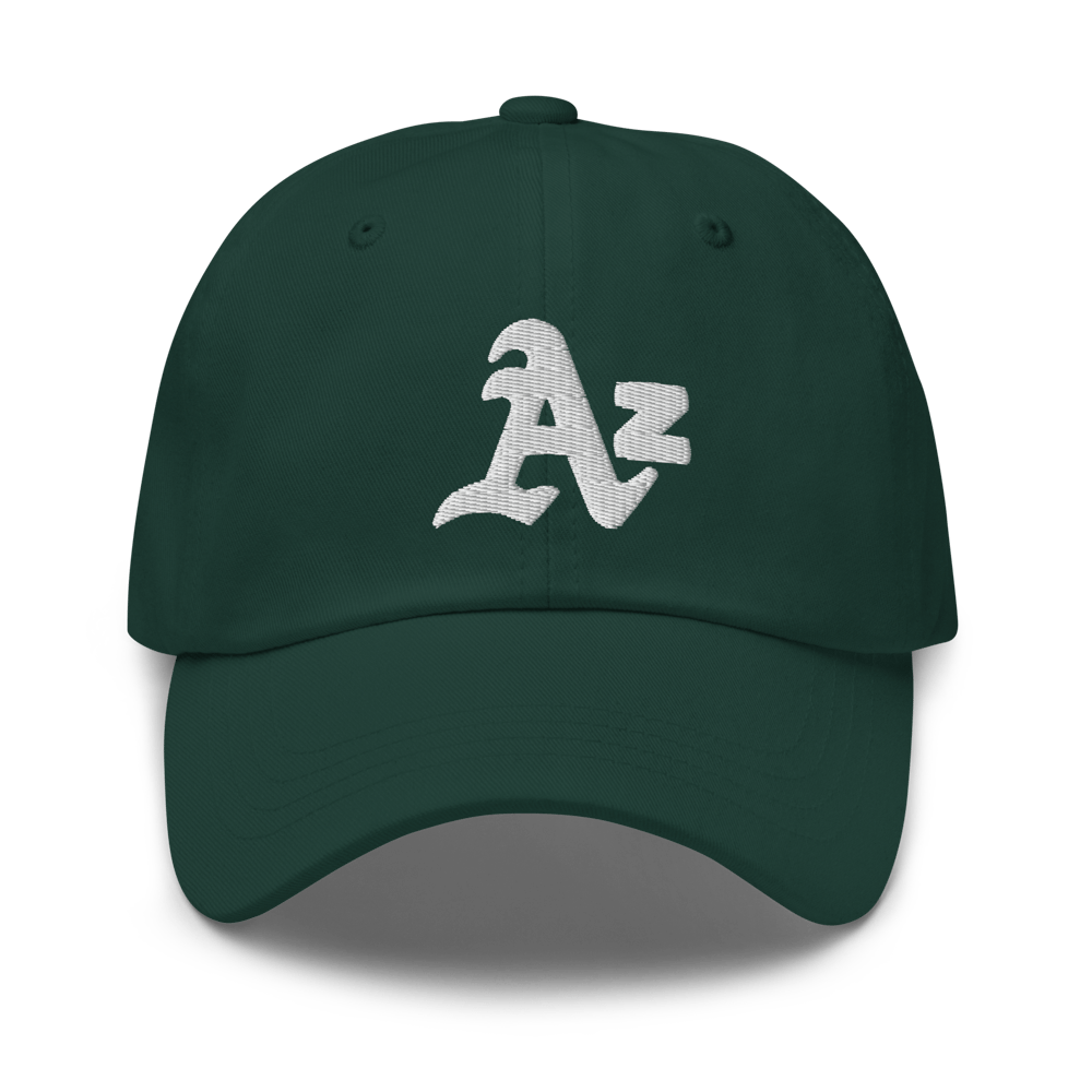 Image of LOWER AZ Az Dad hat