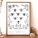 Image 2 of Flora & Fauna prints