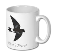 Image 1 of Wilson's Storm-petrel - Scilly Pelagics Mug