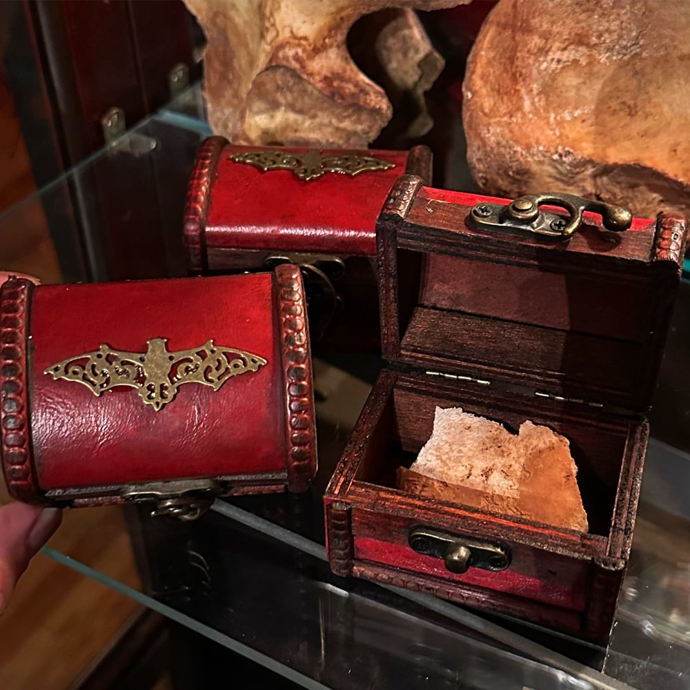 Image of Red Leather Bat Trinket Box w/ Skull Fragment