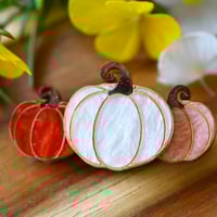 Pumpkin spice - pumpkin patch 