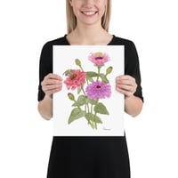 Image 6 of Zinnias-Poster Print