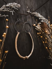 Image 1 of Rib Spirals