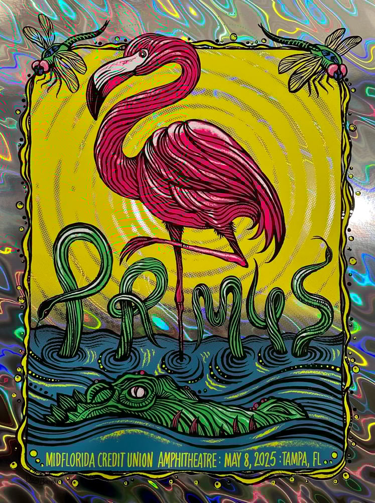 Image of PRIMUS : APs & Variants : Tampa