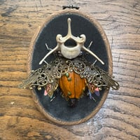 Image 4 of Vertebrae pumpkin beetle (b,  4x5 inches)