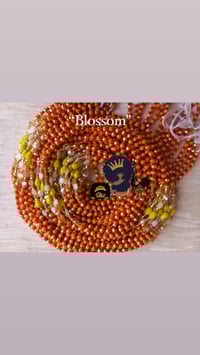"Blossom"