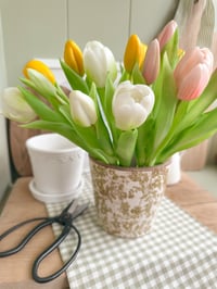 Image 1 of Tulip Bouquets ( 4 options )