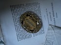 Grand broche en pomponne dorée et fleurs sous résine, vintage! 