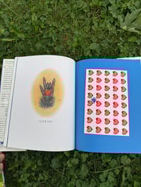 Image 3 of Back to school book bundle 