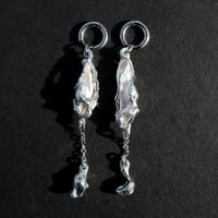 Image 1 of Mycelial Memory