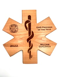 Image 3 of Star of Life Plaque