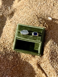 Image 2 of Emperor angel fish ring