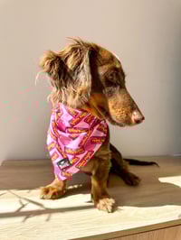 Image 2 of Little Bubba Bandana