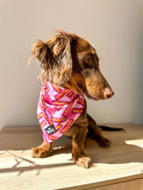 Image of Little Bubba Bandana