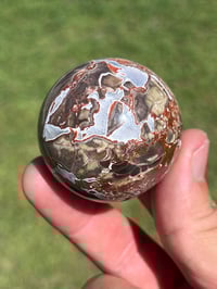 Image 1 of Money Agate Sphere #2918