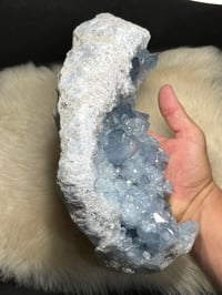Image 4 of Celestite Cluster #2399