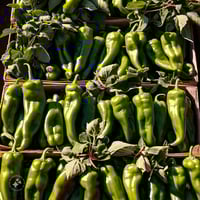 Image 1 of GREEN CHILE flavor beef jerky