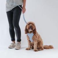Image 3 of MILANO CORDUROY LEASH -  BLUE