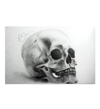 Airbrushed Skull ORIGINAL piece