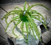 Image 1 of SWEETGUM XL - KIWI