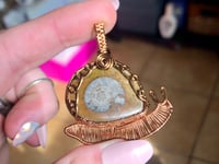 Image 3 of Ammonite Snail