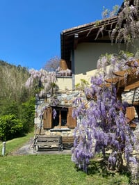 Image 6 of RETIRO Mácramé & Brunch
