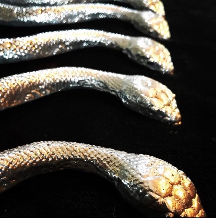 Image of « The serpent » shifter