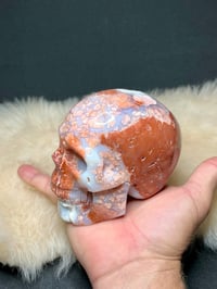 Image 18 of Druzy Pink Petal Agate Skull Carving #2240