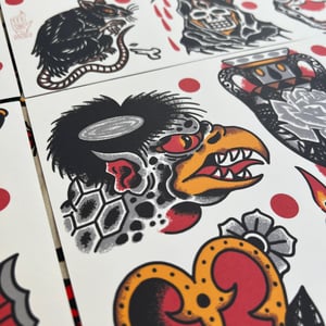 Image of Colour flash set