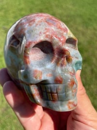 Image 8 of Ocean Jasper Skull #1760