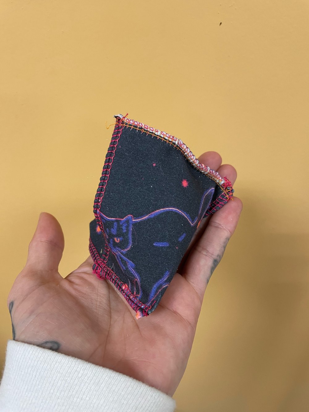 Image of Mystery Cat toy