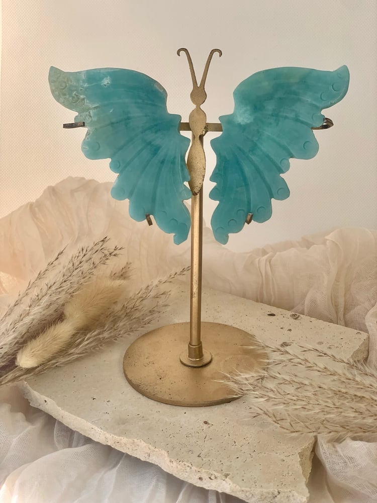 Image of Caribbean Calcite Wings (with stand) 