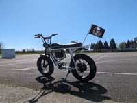 Image 3 of Reckless Springer Antenna 