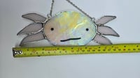 Image 4 of Axolotl 1
