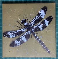 DRAGONFLY (GREEN) 1/1