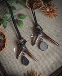 Real antler pieces with holly leaves and crystals