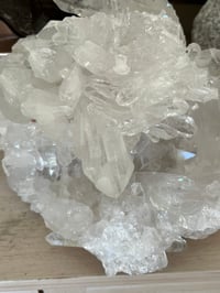 Image 6 of Large Clear Quartz Points Cluster Statement Piece #2133