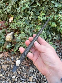 Image 5 of “who put Bella in the Wych Elm?” wand
