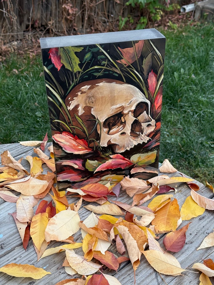 Image of “Decay”