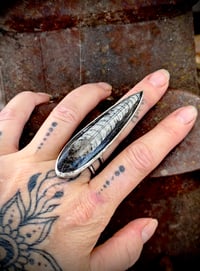 Image 11 of Rising ring II