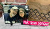 Slate photo tiles