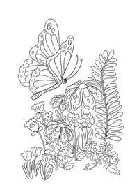 Image 3 of The Dandy Adult Colouring Book