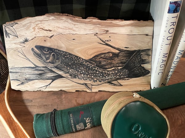 Image of Brook Trout on Ash