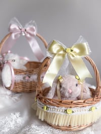 Image 1 of Buttercup Bunny & Basket Set
