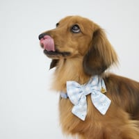 Image 3 of CUPID BLUE SAILOR BOW