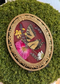Image 2 of Antique Swallowtail Frame