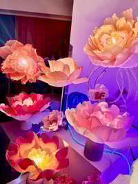 Image 22 of ACID BLOOM workshop