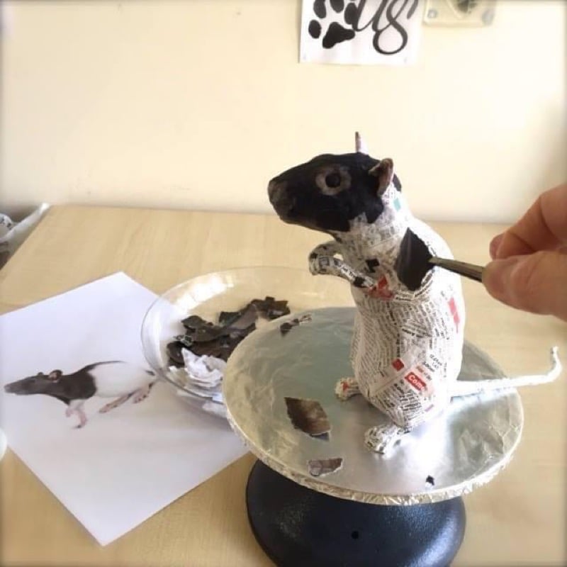 Image of Paper & Wire Sculptures.
