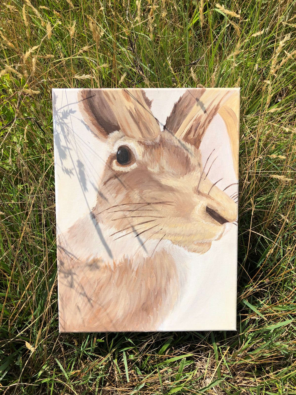 Image of StormyArts - the hare